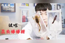 试吃“昆虫棒棒糖”，里面的虫子看起来好可怕~