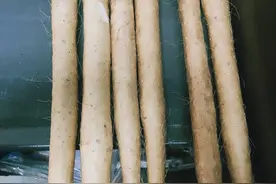 毒山药！在这里！315曝光毒山药到达实验室图片