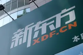 留学党少了，新东方出国业务营收大跌图片