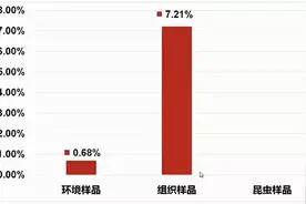 微讲堂 | 非洲猪瘟防控策略见解图片