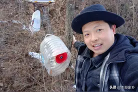 防野猪神器，防止野猪偷吃庄家图片