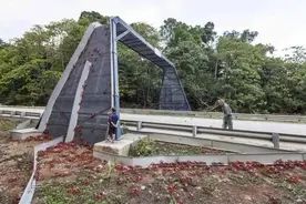 为什么要花3000万为野生动物造一座桥？图片