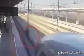 乘客郑州北站纵身跳进高铁轨道遭遇高速列车，车站应负何责任图片