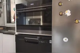 一款真正适合年轻人的烤箱，让你告别外卖的神器—微蒸烤一体机图片