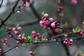 和丈夫生活近二十年，姐姐住院才真正认识了他，原来他本不属于我图片