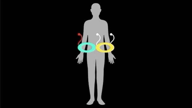 糖：最甜蜜的杀手，成瘾性极强？我们为什么无法戒糖…