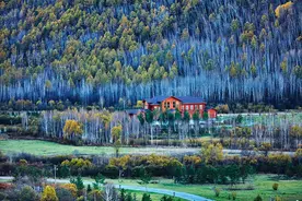 一个字：爽图片