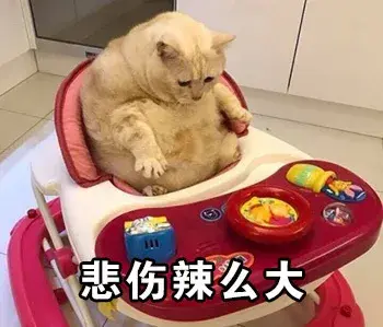 维密身体乳亮晶晶