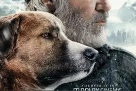 《野性的呼唤》美国经典小说改编，一人一狗极地生存！图片