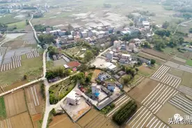 港南区桂芳屯：屯有领头羊 乡村有犇头图片