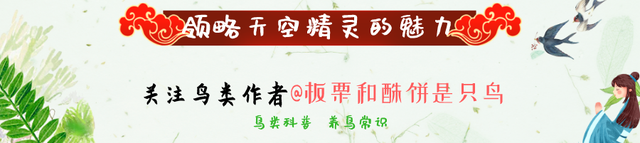 八哥得了皮肤病怎么办