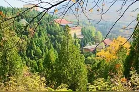 山东“最低调实在”的景点，物价比普陀山低，环境比少林寺静谧图片