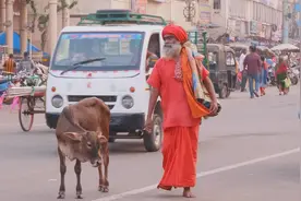 牛粪制牙膏，牛尿做饮品，是什么原因让印度人对牛如此疯狂图片