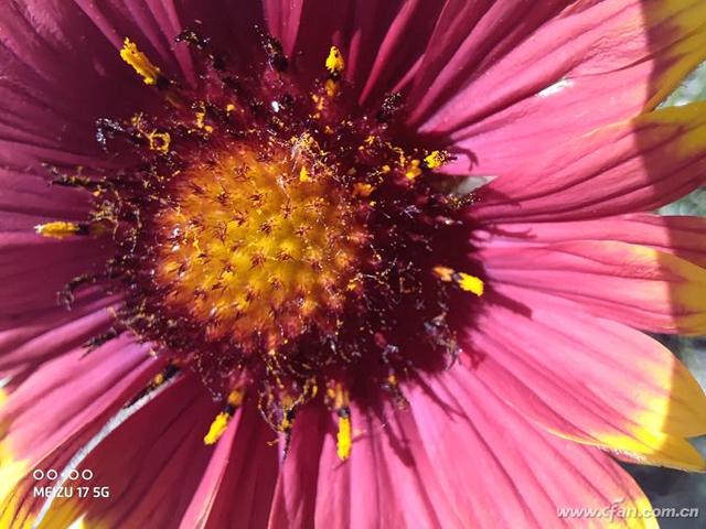 魅族 17评测：魅族的5G梦想从它开始