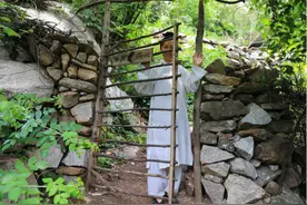 女硕士逃离繁华的城市，隐居深山里过上了原始生活图片