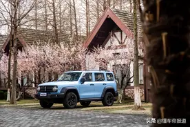 新车｜铁汉也柔情，坦克300致敬莫奈限定版上市，限量300台图片