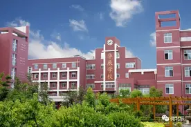 学习强国 | 天津北辰区华辰学校：小故事讲“四史”“小老师”领着学图片