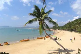 海南单独立法，打造全球最大的自由贸易港，这将带来什么好处图片