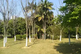 村长与翠花7~表白图片