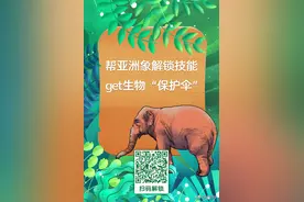 聚焦COP15｜帮亚洲象解锁技能 get生物“保护伞”图片