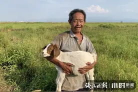 67岁的衢州老汉带着残疾妻女山坡放羊，他说靠双手生活，自己开心知足图片