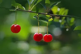 一个女人的自述:6年的婚外情，虽不曾影响到婚姻，最终也是一场空图片