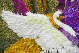 谢伦灿：艺术产品的定价包括了六大策略原则图片