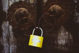 这种老门锁，你家还有吗图片
