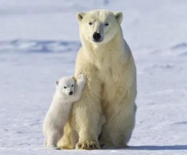 趣说生物：植物不吃不喝是如何长大的？