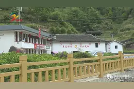 漳平市吾祠乡留地洋村：党员引领 扮靓乡村图片