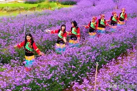 西山新视野 | 西山的这个“秘密花园”，众多玩法一定有你喜欢的！图片