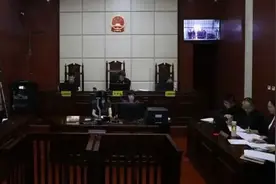 介休“二龙戏珠”琉璃壁心文物被盗案一审宣判图片