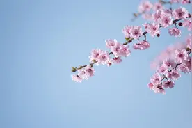 过来人的经验告诉你：伴侣开始这样称呼你，说明已经不爱你了图片