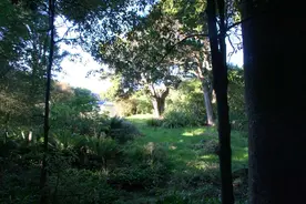 100万人民币可以在新西兰买块地吗？图片