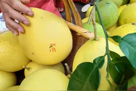 怎样挑柚子才好吃？“脖子”长短是关键，挑对了，皮薄肉多汁水甜图片