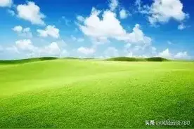 韩系起亚车质量好吗？图片