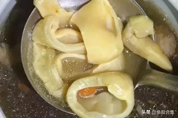 鱼胶怎么吃比较好吃 2026年鱼胶怎么吃比较好吃视频