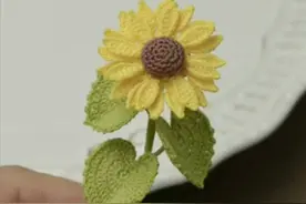 「针织作品」50个钩针编织胸花创意图片