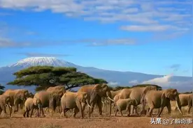 非洲最高的一座山，海拔高达19710英尺，又被人类成功终结了？图片