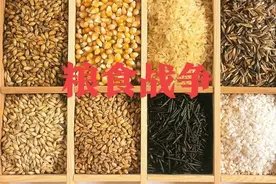 04年美国大豆阴谋，仅几个月搞垮中国大豆产业，惨痛教训不能忘图片