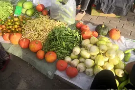 在内蒙早市买菜，眼花缭乱不会挑，农村小伙：这样的才是农家菜图片