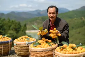 “壶兰耕读”，汇聚力量，开启抗疫助农战贫新模式图片