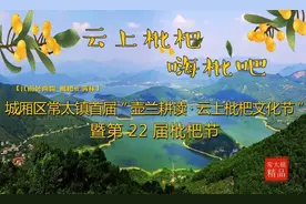 莆田常太镇：首届“壶兰耕读·云上枇杷文化节”来啦！图片