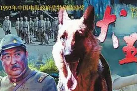 1993年,功勋军犬绑炸药拍戏 被炸死,士兵哭到泣血,导演却高呼太好图片
