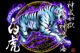 青龙白虎朱雀玄武！图片