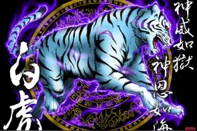 青龙白虎朱雀玄武！图片
