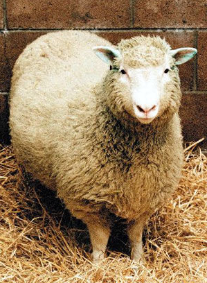 高中生物学习经验分享