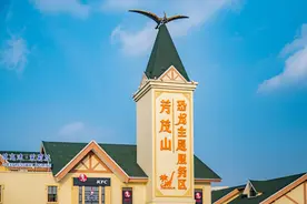 “十一”高速大堵车，江苏高速服务区亮了！有三座网红打卡地图片