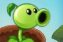 自制PVZ2 5-10阶植物（欢迎补充）图片