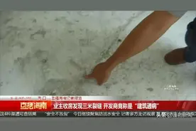 闹心！业主收房发现地面上有3米长的裂缝，开发商竟称是“建筑通病”图片